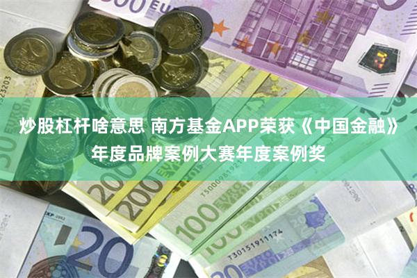 炒股杠杆啥意思 南方基金APP荣获《中国金融》年度品牌案例大赛年度案例奖