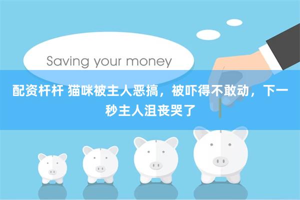 配资杆杆 猫咪被主人恶搞，被吓得不敢动，下一秒主人沮丧哭了