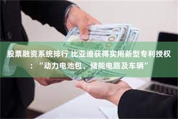 股票融资系统排行 比亚迪获得实用新型专利授权：“动力电池包、储能电路及车辆”
