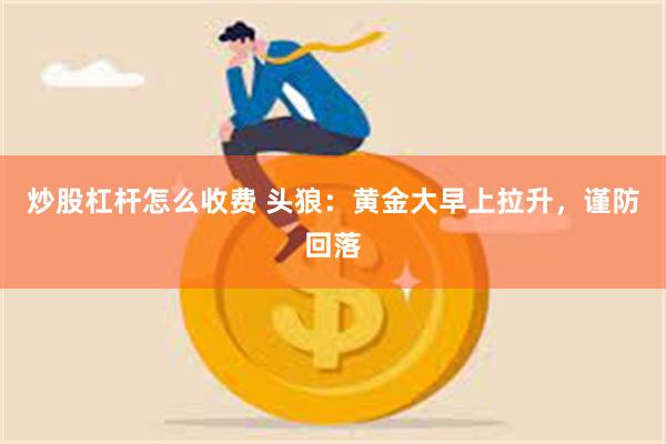炒股杠杆怎么收费 头狼：黄金大早上拉升，谨防回落