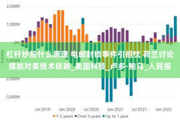 杠杆炒股什么原理 电邮封锁事件引担忧 荷兰讨论摆脱对美技术依赖_美国科技_卢多·鲍乌_人民报