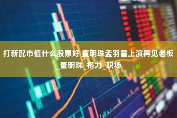 打新配市值什么股票好 童明珠孟羽童上演再见老板_董明珠_格力_职场