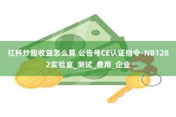 杠杆炒股收益怎么算 公告号CE认证指令-NB1282实验室_测试_费用_企业
