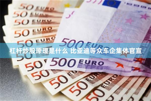 杠杆炒股原理是什么 比亚迪等众车企集体官宣