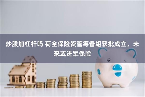 炒股加杠杆吗 荷全保险资管筹备组获批成立，未来或进军保险