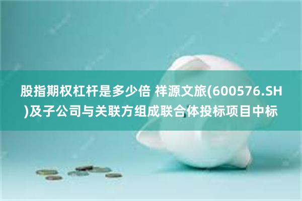 股指期权杠杆是多少倍 祥源文旅(600576.SH)及子公司与关联方组成联合体投标项目中标