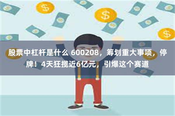 股票中杠杆是什么 600208，筹划重大事项，停牌！4天狂揽近6亿元，引爆这个赛道