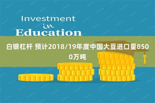 白银杠杆 预计2018/19年度中国大豆进口量8500万吨