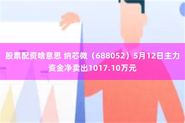 股票配资啥意思 纳芯微（688052）5月12日主力资金净卖出1017.10万元