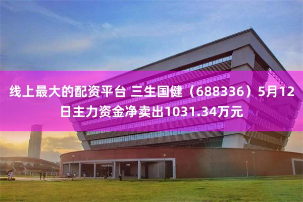 线上最大的配资平台 三生国健（688336）5月12日主力资金净卖出1031.34万元