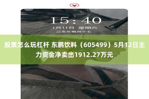 股票怎么玩杠杆 东鹏饮料（605499）5月12日主力资金净卖出1912.27万元
