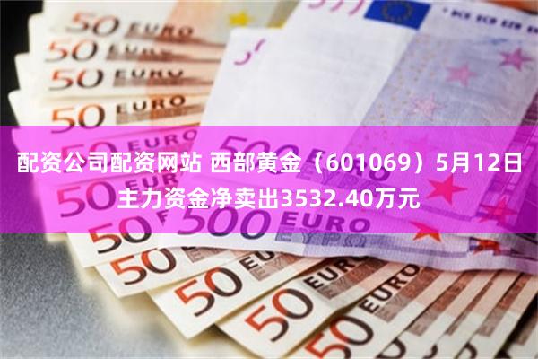 配资公司配资网站 西部黄金（601069）5月12日主力资金净卖出3532.40万元