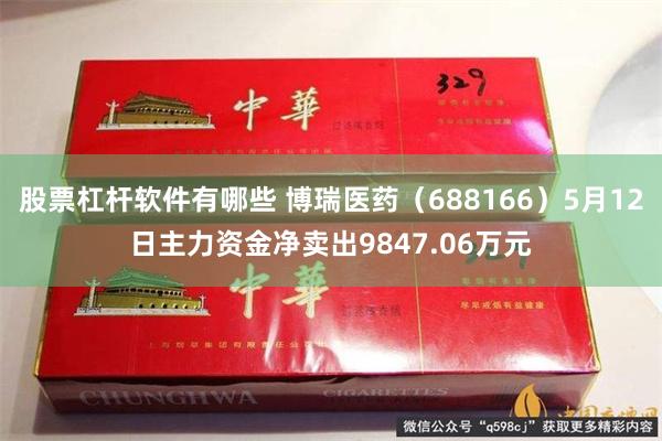 股票杠杆软件有哪些 博瑞医药（688166）5月12日主力资金净卖出9847.06万元