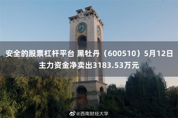 安全的股票杠杆平台 黑牡丹（600510）5月12日主力资金净卖出3183.53万元