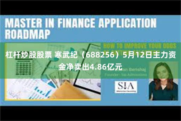 杠杆炒股股票 寒武纪（688256）5月12日主力资金净卖出4.86亿元