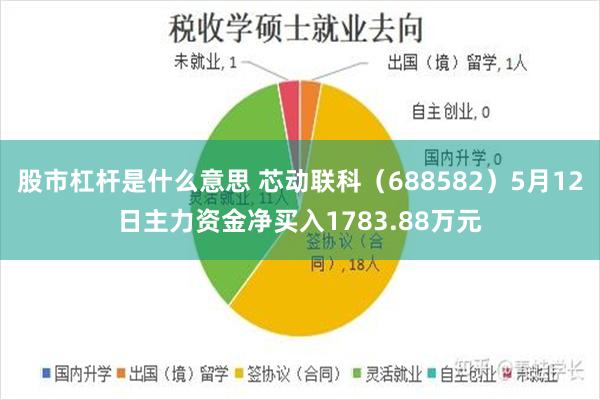 股市杠杆是什么意思 芯动联科（688582）5月12日主力资金净买入1783.88万元