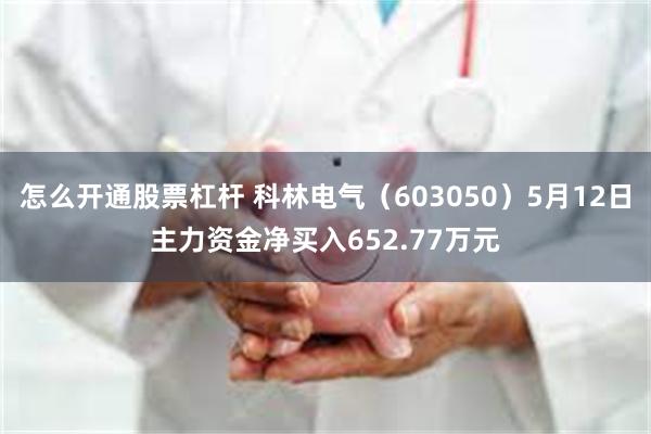 怎么开通股票杠杆 科林电气(603050)5月12日主力资金净买入652.77万元