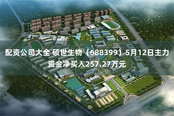 配资公司大全 硕世生物（688399）5月12日主力资金净买入257.27万元