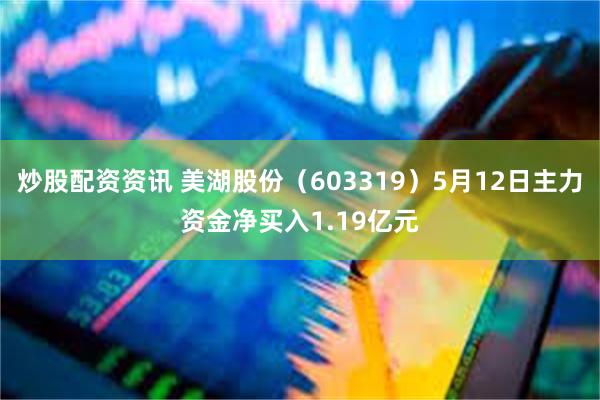 炒股配资资讯 美湖股份（603319）5月12日主力资金净买入1.19亿元