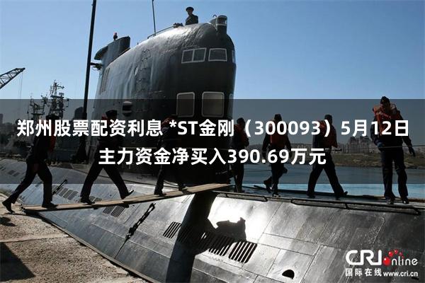 郑州股票配资利息 *ST金刚（300093）5月12日主力资金净买入390.69万元