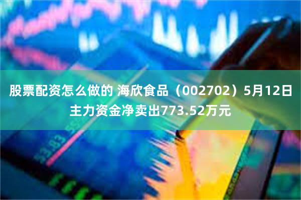 股票配资怎么做的 海欣食品（002702）5月12日主力资金净卖出773.52万元