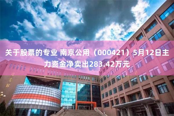 关于股票的专业 南京公用（000421）5月12日主力资金净卖出283.42万元