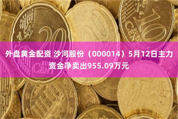 外盘黄金配资 沙河股份（000014）5月12日主力资金净卖出955.09万元