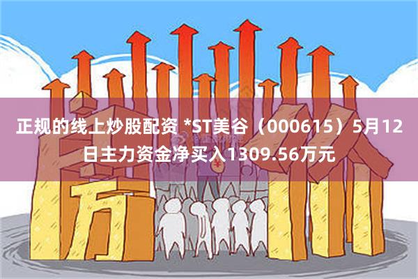 正规的线上炒股配资 *ST美谷（000615）5月12日主力资金净买入1309.56万元
