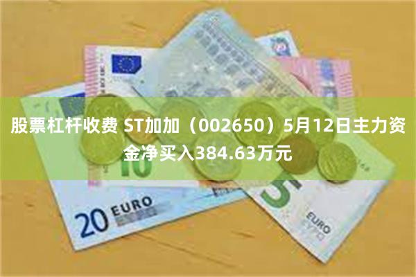 股票杠杆收费 ST加加（002650）5月12日主力资金净买入384.63万元