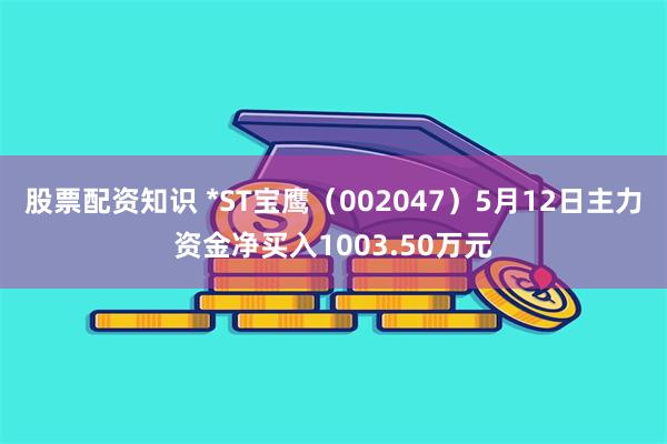 股票配资知识 *ST宝鹰（002047）5月12日主力资金净买入1003.50万元