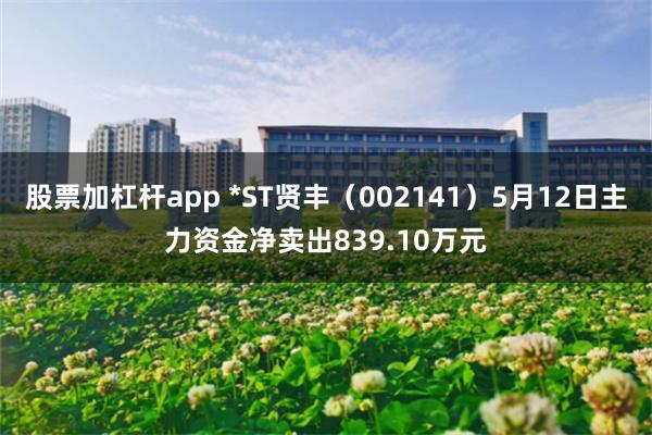 股票加杠杆app *ST贤丰（002141）5月12日主力资金净卖出839.10万元