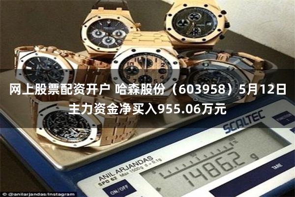 网上股票配资开户 哈森股份（603958）5月12日主力资金净买入955.06万元