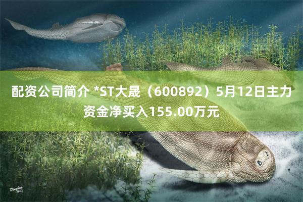 配资公司简介 *ST大晟（600892）5月12日主力资金净买入155.00万元