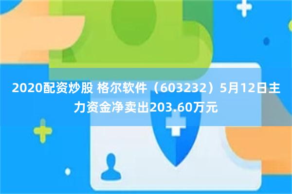 2020配资炒股 格尔软件（603232）5月12日主力资金净卖出203.60万元