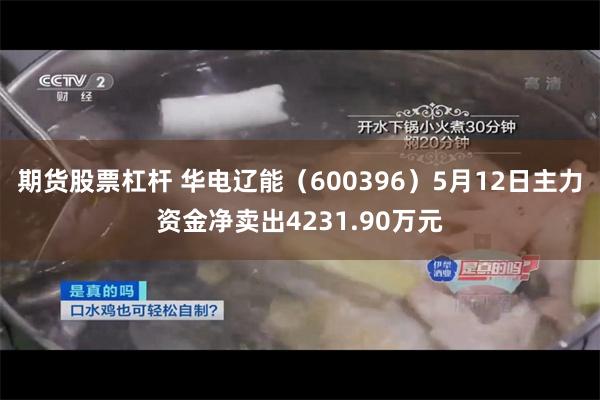期货股票杠杆 华电辽能（600396）5月12日主力资金净卖出4231.90万元