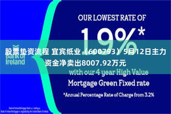 股票垫资流程 宜宾纸业(600793)5月12日主力资金净卖出8007.92万元
