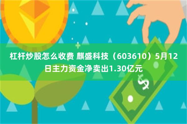 杠杆炒股怎么收费 麒盛科技(603610)5月12日主力资金净卖出1.30亿元