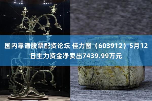 国内靠谱股票配资论坛 佳力图（603912）5月12日主力资金净卖出7439.99万元