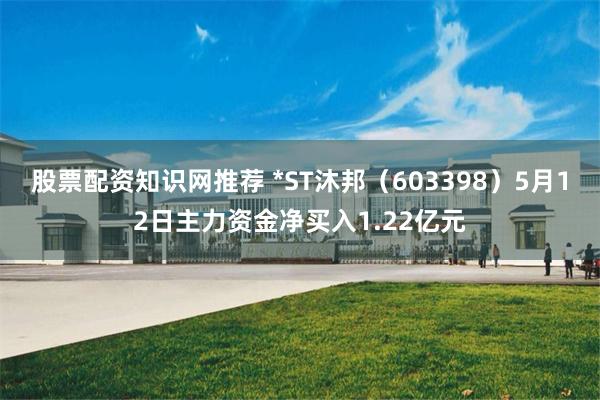 股票配资知识网推荐 *ST沐邦（603398）5月12日主力资金净买入1.22亿元
