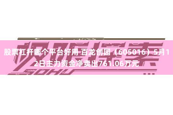 股票杠杆哪个平台好用 百龙创园(605016)5月12日主力资金净卖出761.06万元