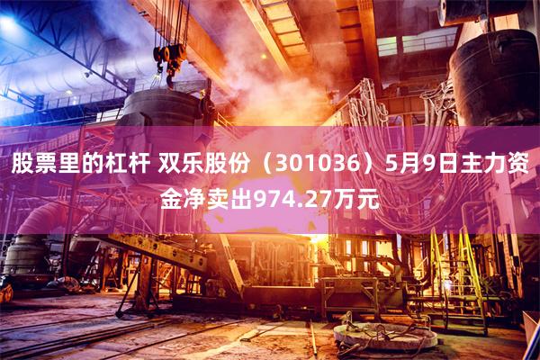 股票里的杠杆 双乐股份（301036）5月9日主力资金净卖出974.27万元