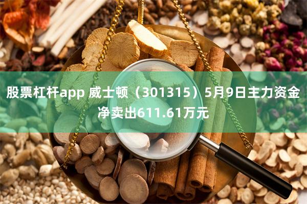 股票杠杆app 威士顿（301315）5月9日主力资金净卖出611.61万元
