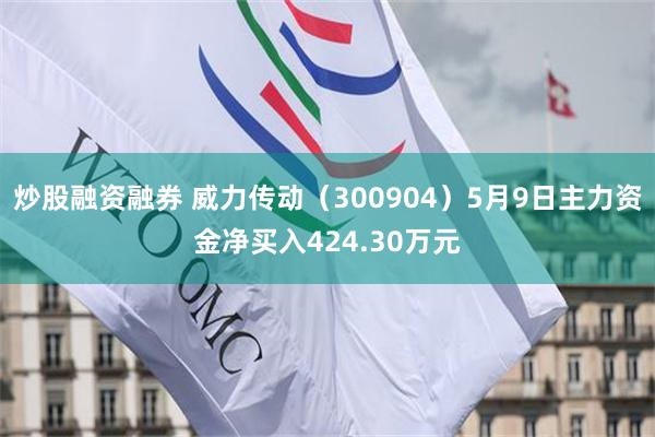 炒股融资融券 威力传动（300904）5月9日主力资金净买入424.30万元