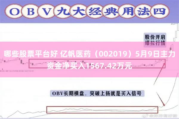 哪些股票平台好 亿帆医药（002019）5月9日主力资金净买入1567.42万元