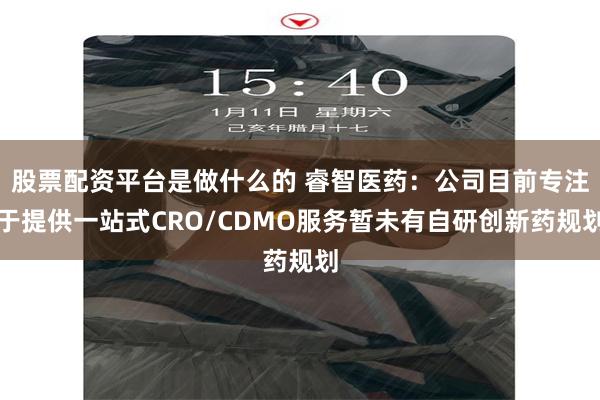 股票配资平台是做什么的 睿智医药：公司目前专注于提供一站式CRO/CDMO服务暂未有自研创新药规划