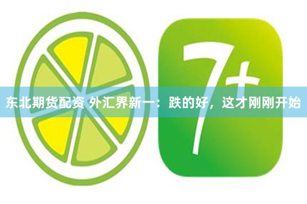 东北期货配资 外汇界新一：跌的好，这才刚刚开始