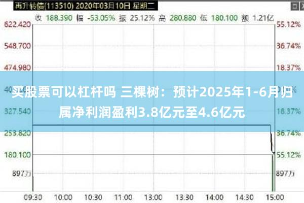 买股票可以杠杆吗 三棵树：预计2025年1-6月归属净利润盈利3.8亿元至4.6亿元