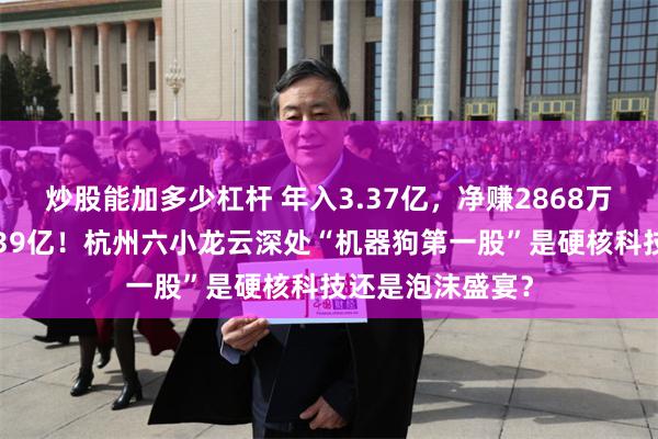 炒股能加多少杠杆 年入3.37亿，净赚2868万，估值却高达139亿！杭州六小龙云深处“机器狗第一股”是硬核科技还是泡沫盛宴？