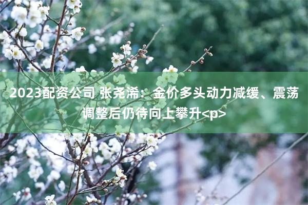 2023配资公司 张尧浠：金价多头动力减缓、震荡调整后仍待向上攀升<p>