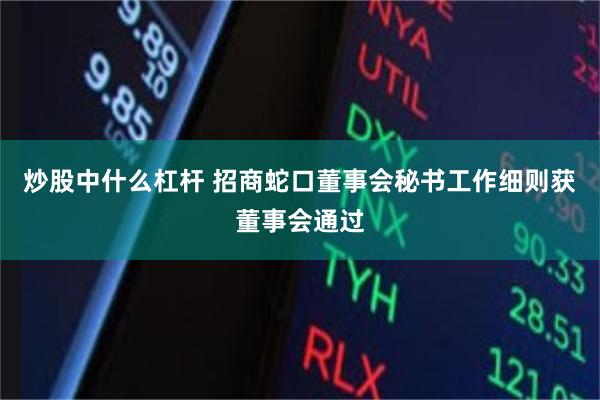 炒股中什么杠杆 招商蛇口董事会秘书工作细则获董事会通过